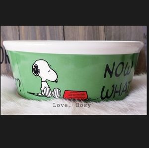 Peanuts Dog Gibson Ceramic 5 Peanuts Classic Snoopy Pet Bowl Poshmark